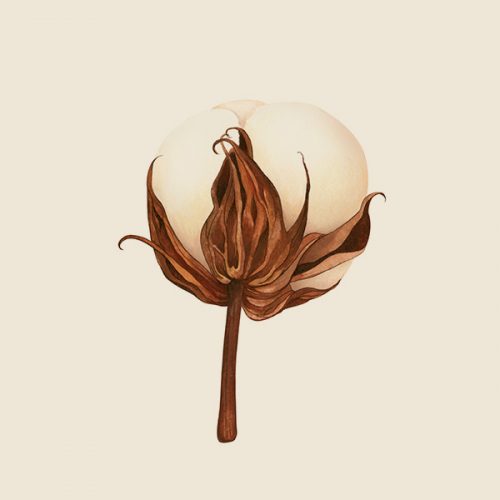 flor