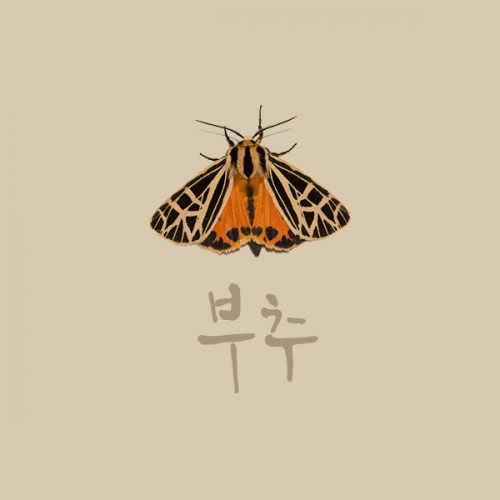 mariposa