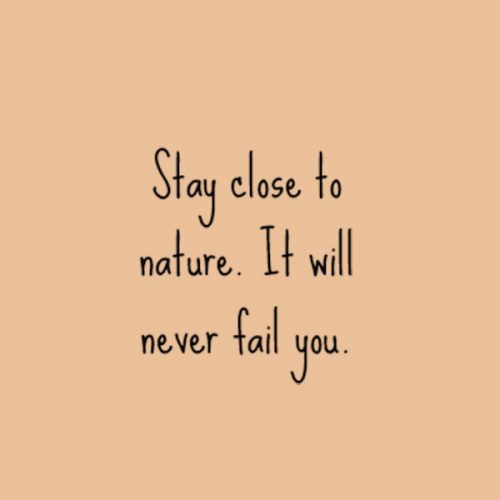 stay close